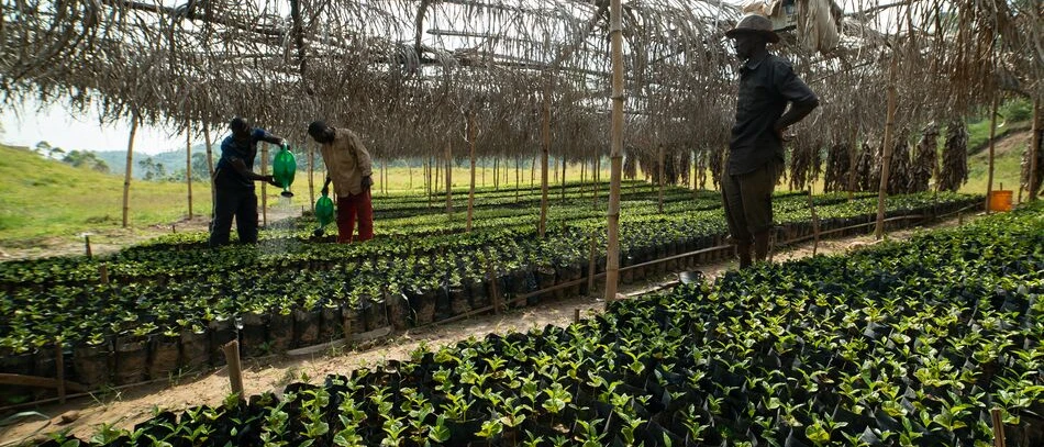 Medium-Selecta Coffee Fund 2020 046.jpg